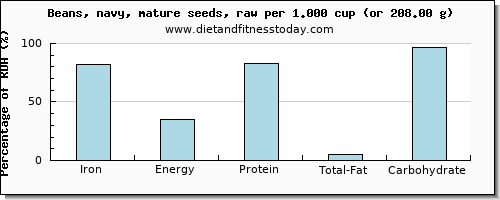 iron and nutritional content in navy beans